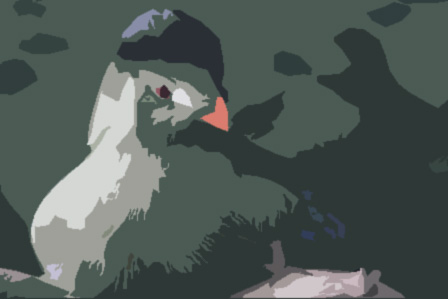 Weißohrturako Zoologischer Garten Berlin