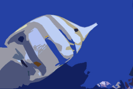 Gebändeter Pinzettfisch Zoo Aquarium Berlin